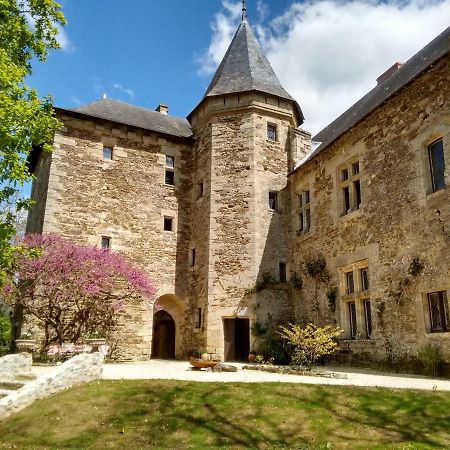 Chateau De Chanze Faye-d'Anjou Екстер'єр фото