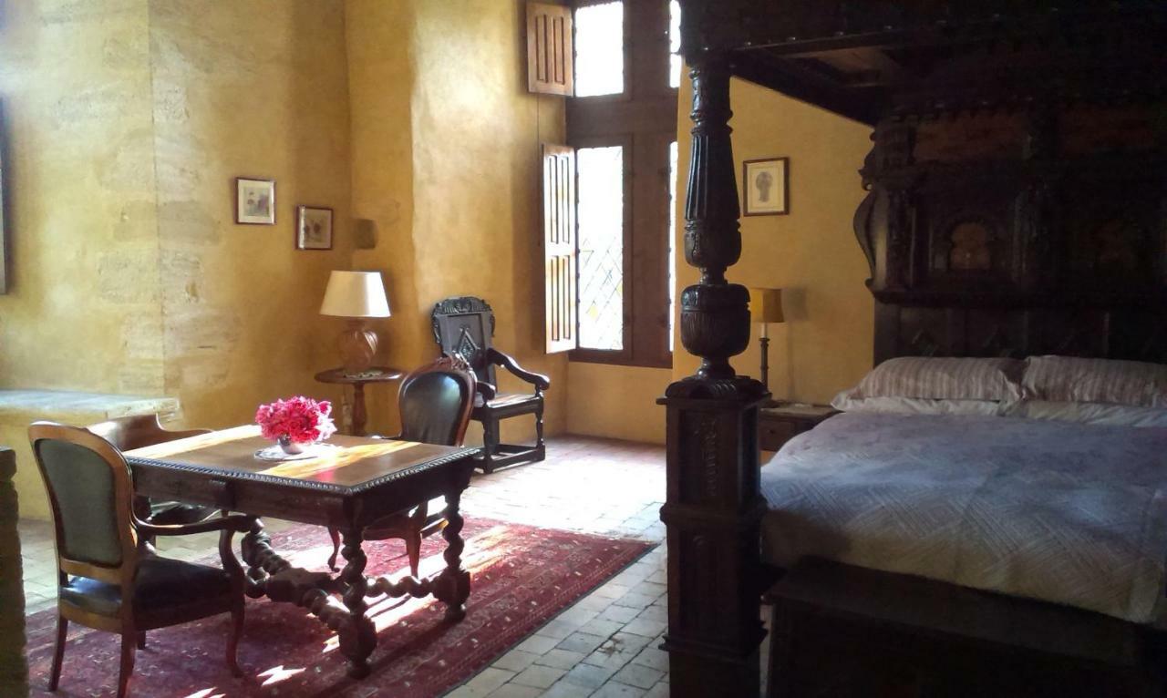 Chateau De Chanze Faye-d'Anjou Екстер'єр фото