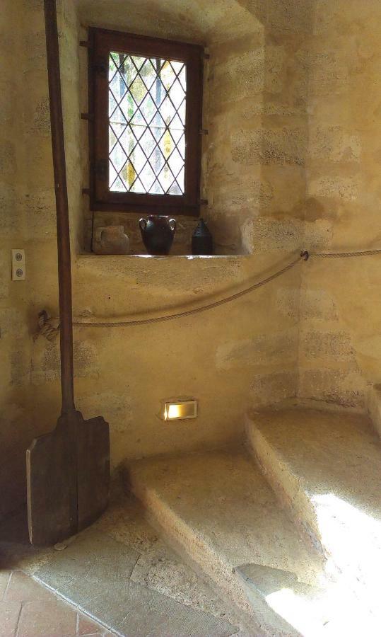 Chateau De Chanze Faye-d'Anjou Екстер'єр фото